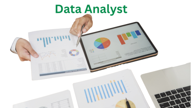 Data Analyst